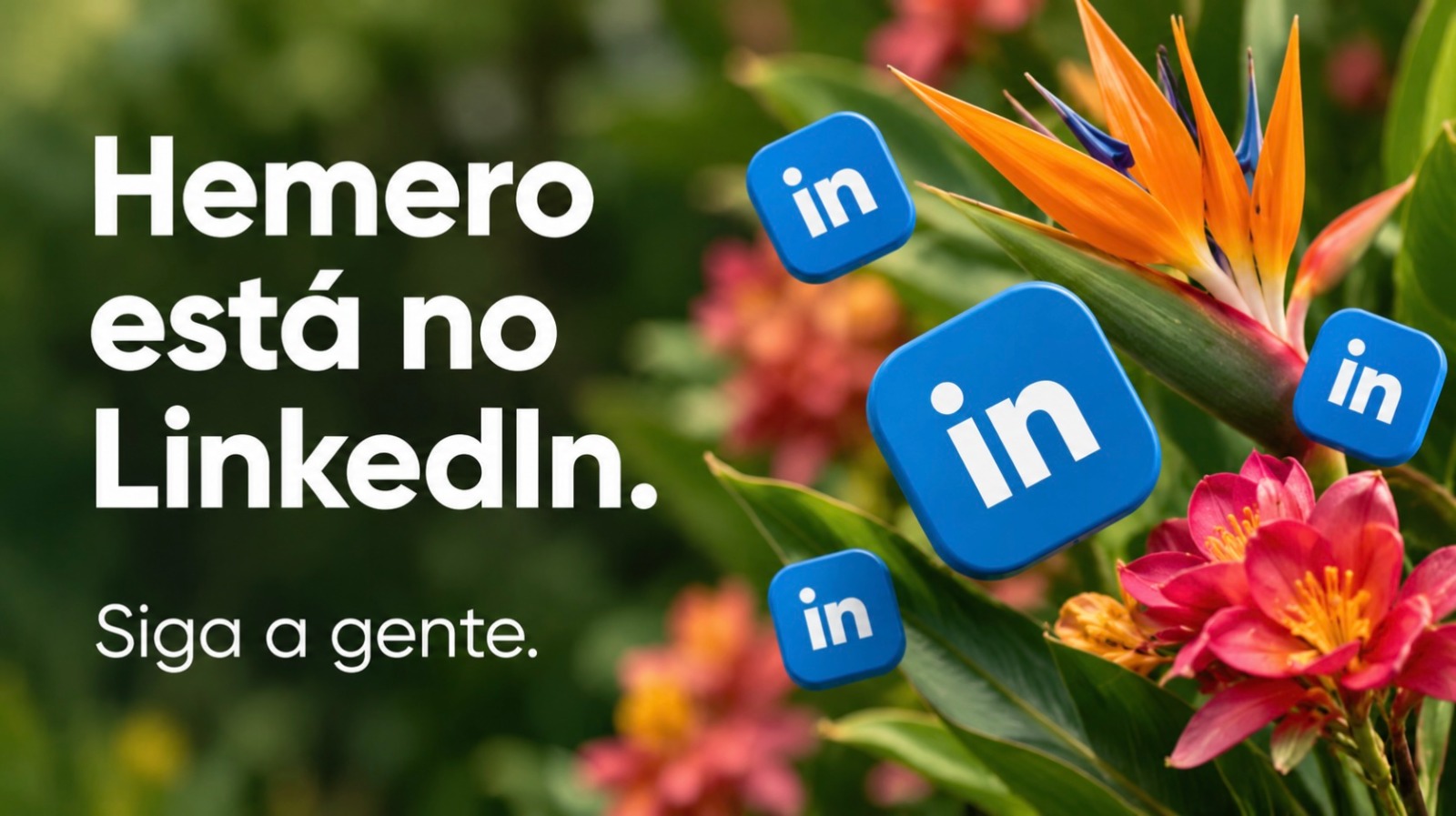 Hemero agora também está no LinkedIn